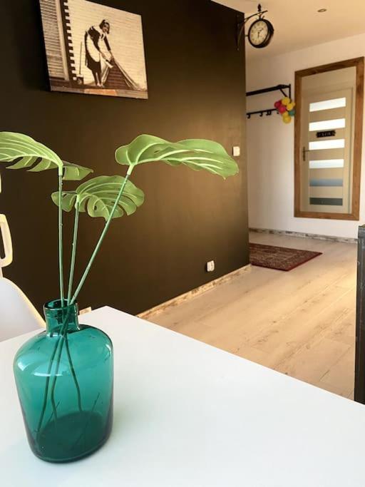 San Riverbank Apartment *
